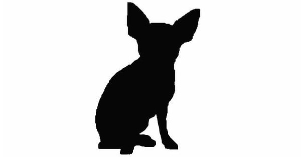 1. Итак, что за порода перед вами?