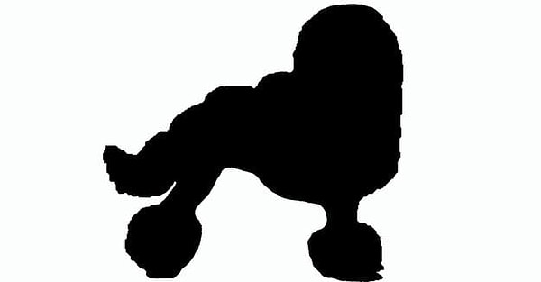 4. Что за порода тут?