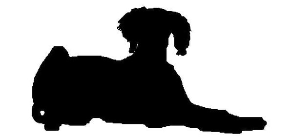 10. И, наконец, что это за порода?