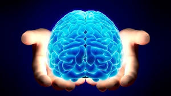 7. Что вас ведет по жизни?