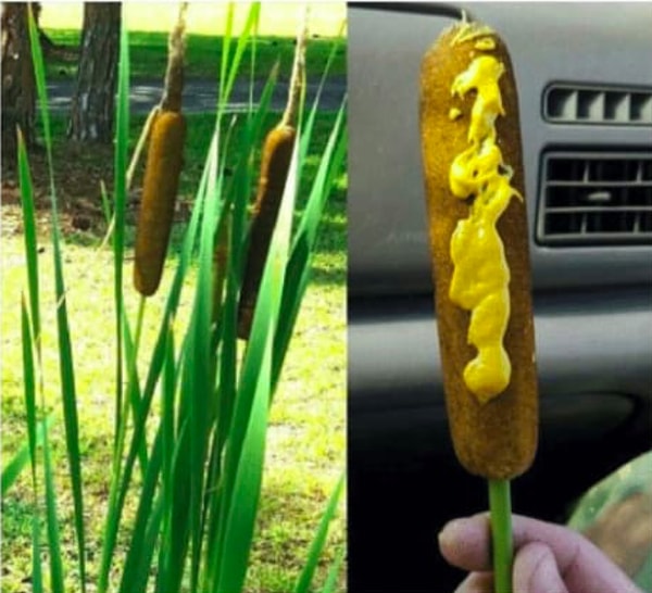 7. Так что же это всё-таки?