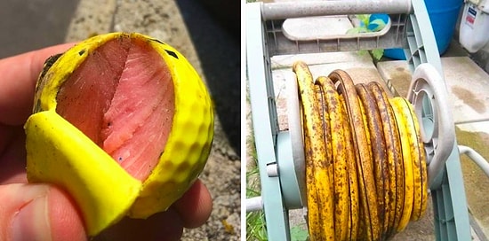 16 всем известных вещей, которые выглядят настолько аппетитно, что их хочется съесть!