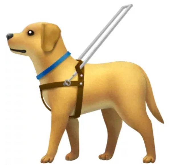 8. Собака-поводырь с упряжкой: