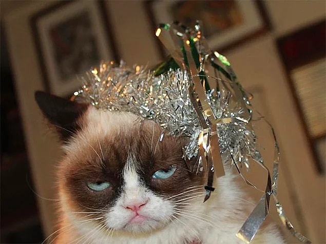 11. True party animal 'Grumpy Cat'!