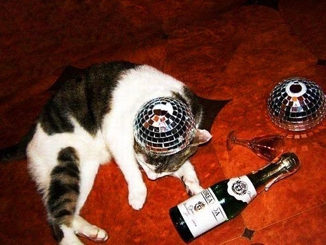 21. This is some rich pussy!