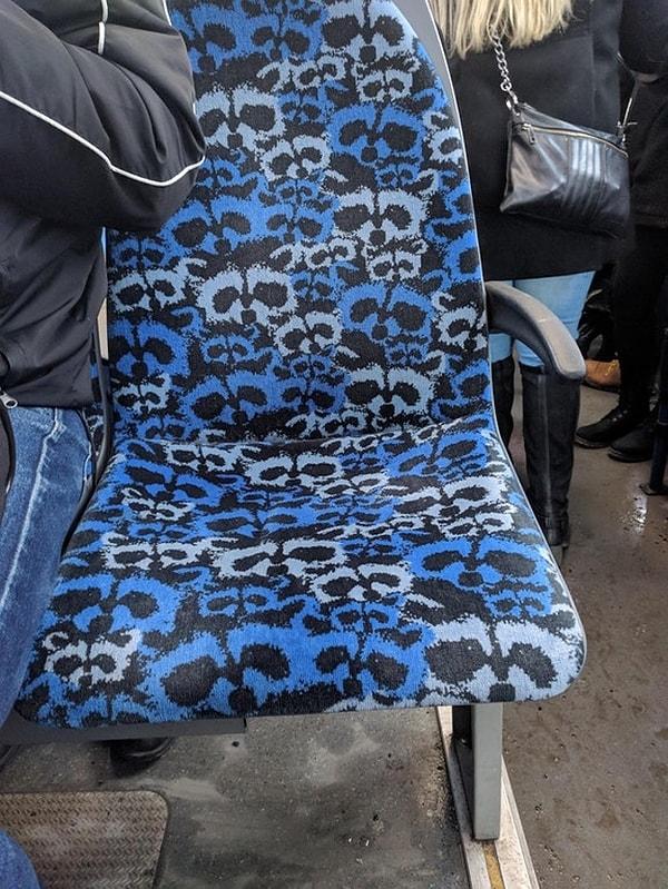 24. Finlandiya'da rakun desenli otobüs koltuğu