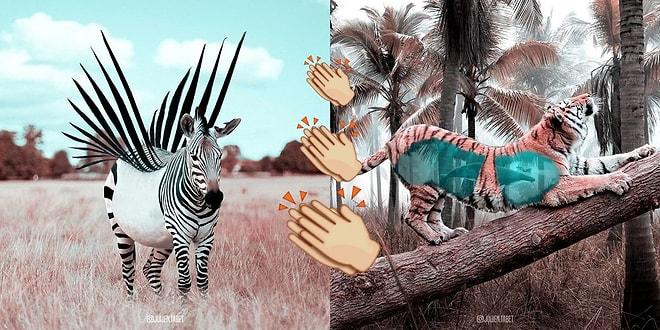 Photoshop'u Ustaca Kullanarak Olağanüstü Fantastik Hayvanlar Yaratan Fransız Sanatçıdan 25 Enfes Çalışma