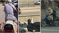 Trafikte Karşılaşsak Şaşkınlıktan Direksiyon Hakimiyetini Kaybeceğimiz 19 Komik Manzara