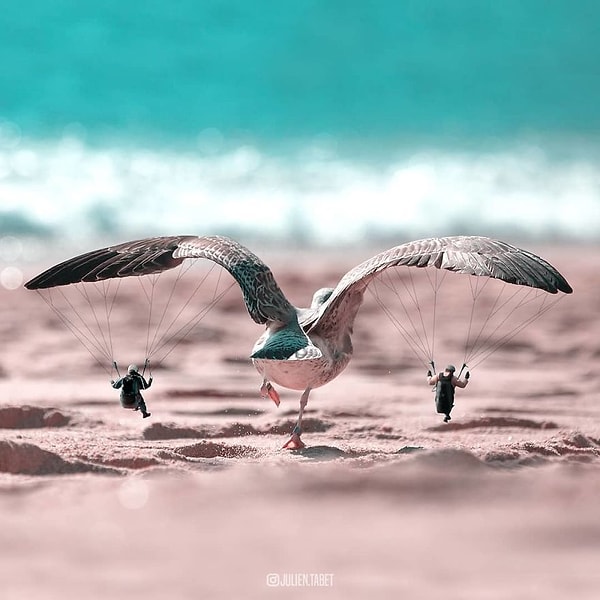 6. Ведь фотошоп помогает девушке создать сюрреалистическое пространство, где в желудке у птички плещется море, а полоски зебры превращаются в крылья...