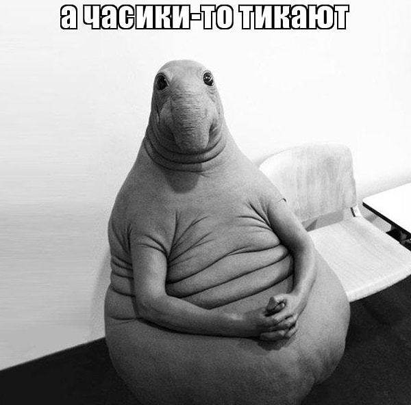 4. Родственники начинают задавать вам вопросы, много вопросов