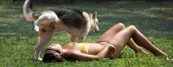 8. Радуйтесь, что вы не жертва этой собаки: