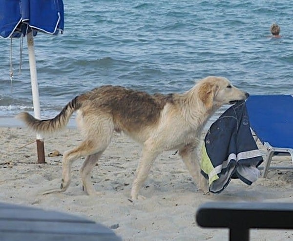 10. и что это не ваша одежда: