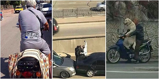 Берегись автомобиля: 11 очень смешных снимков, сделанных на дорогах