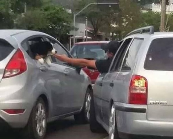 7. Животные! Люблю - не могу 😍😆