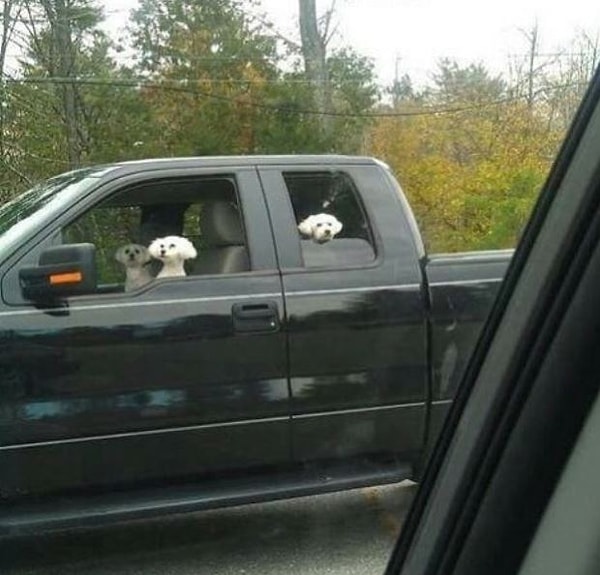 8. Такая команда 😜