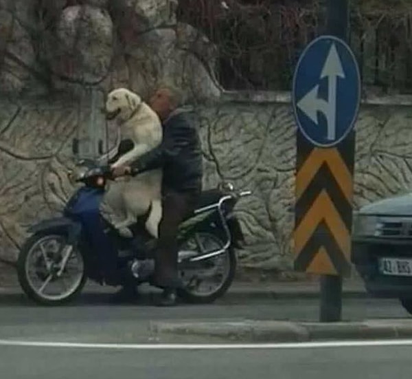 11. "Значит так, ты за руль отвечаешь, я - за педали" 😎