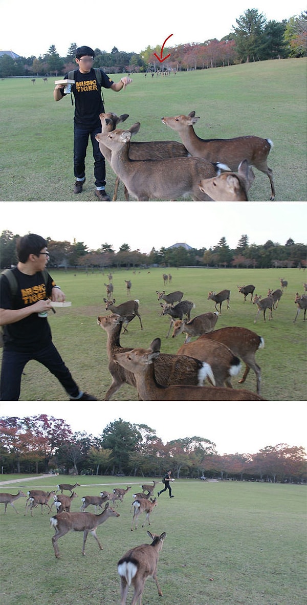 8. "Помогите! На помощь!"