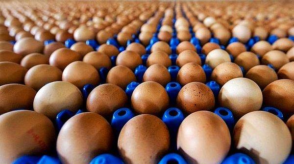 Faydaları saymakla bitmeyen yumurta için Türkiye'de geçtiğimiz Kasım ayında yeni bir döneme girildi ve üreticiler için yetiştirme metodu kodu uygulamasına geçildi.