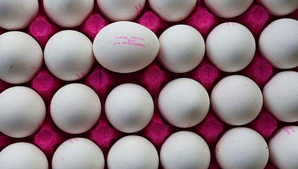 Peki yetiştirme metodu kodunu içermeyen yumurtaların satışa sunulamadığı bu yeni sistemde kodlar hangi anlamlara geliyor?