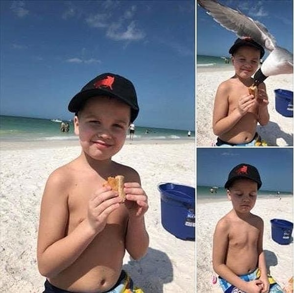 13. Хотя если подумать, пляж - источник всех наших бед