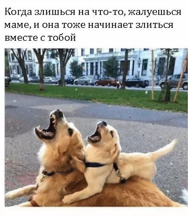 8. Солидарность