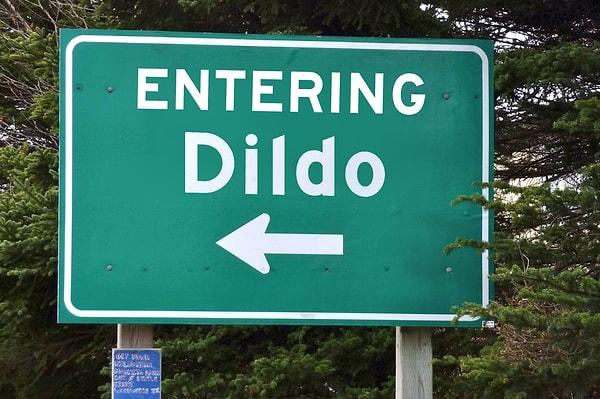 Kanada'nın turistik adası Dildo...