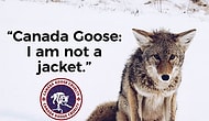 Canada Goose Markasının Ardında Yatan Vahşet! Kan Kokan Bu Montları Giyen Ünlü İsimler!👎🏽