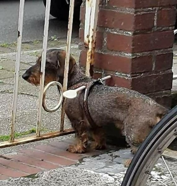 2. Все свое ношу с собой 😄