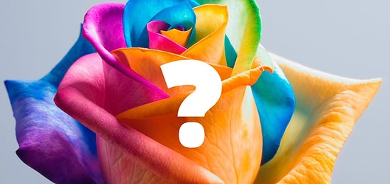 Тест: Выберите розу и узнайте о себе что-то новое