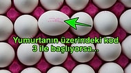 Her Yumurtaya Güvenmeyin! Üzerindeki Kodlar Sayesinde Aldığınız Yumurtanın Nasıl Yetiştirildiğini Anlayabileceksiniz!