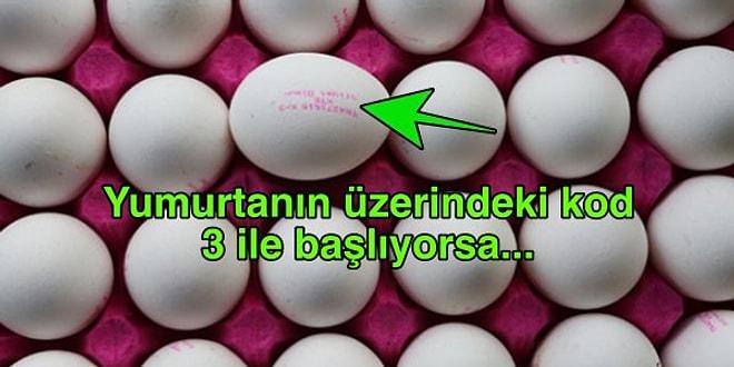 Her Yumurtaya Güvenmeyin! Üzerindeki Kodlar Sayesinde Aldığınız Yumurtanın Nasıl Yetiştirildiğini Anlayabileceksiniz!