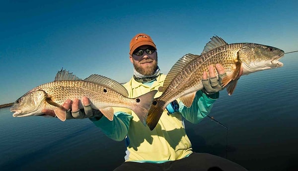 9. В Канзасе запрещено ловить рыбу руками, если только это не оливковый сомик