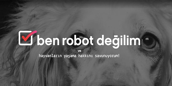 Vestel'in Hayvan Dostlarımızın Korunması İçin Başlattığı Önemli Proje: "Ben Robot Değilim"