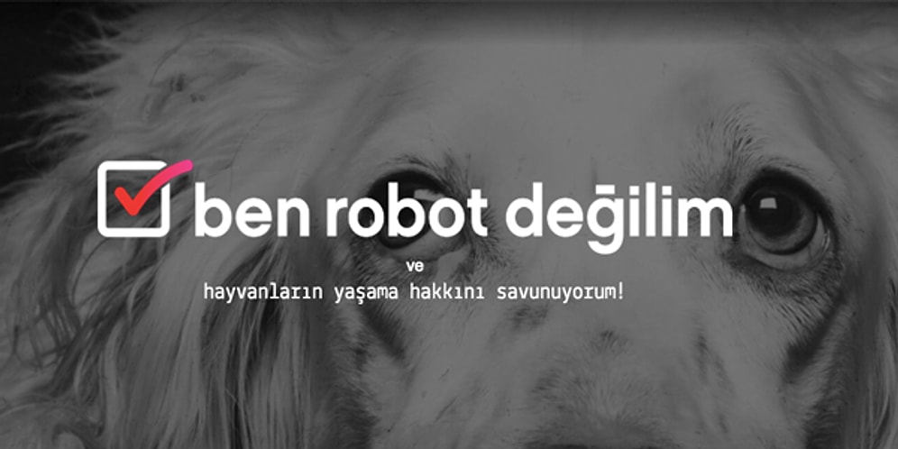 Vestel'in Hayvan Dostlarımızın Korunması İçin Başlattığı Önemli Proje: "Ben Robot Değilim"
