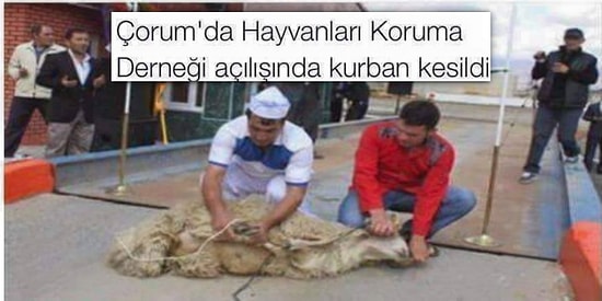 Yurdumuzun Dört Bir Yanında Sıradan Bir Günde Yaşanan 15 Eşsiz Olay