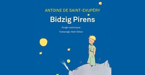 Çeviri kitapları bile var. Antoine de Saint-Exupery'in yazdığı Küçük Prens kitabını Mahir Özkan "Bidzig Pirens" olarak çevirdi.