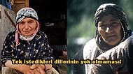 Dilleri Yok Olma Tehlikesinde Olan Karadenizli Bir Halk: Hemşinliler