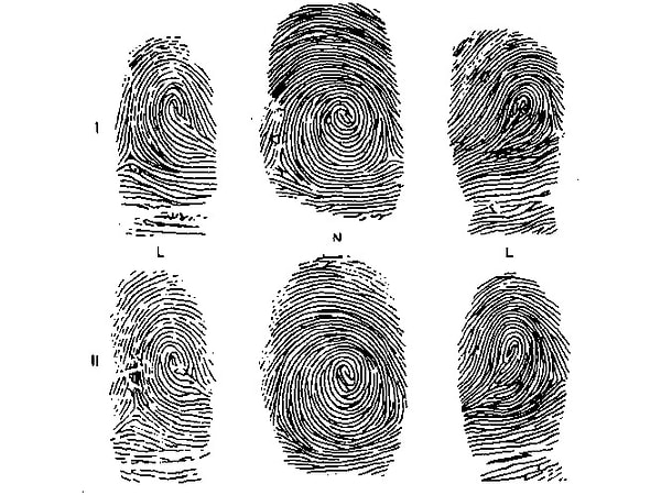 6. Рисунок отпечатков пальцев