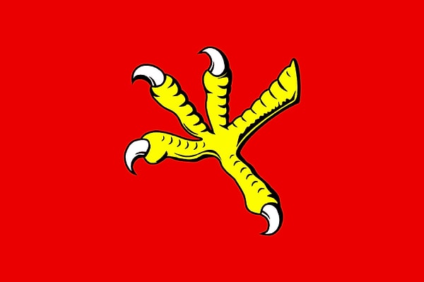 5. Флаг Домновского сельского поселения