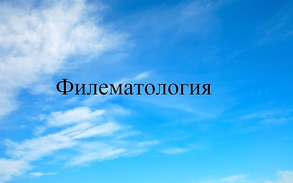 1. Ни за что не догадаетесь: