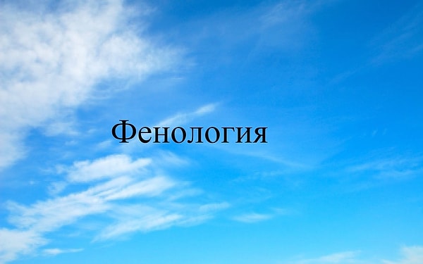 8. Дальше будет еще сложнее: