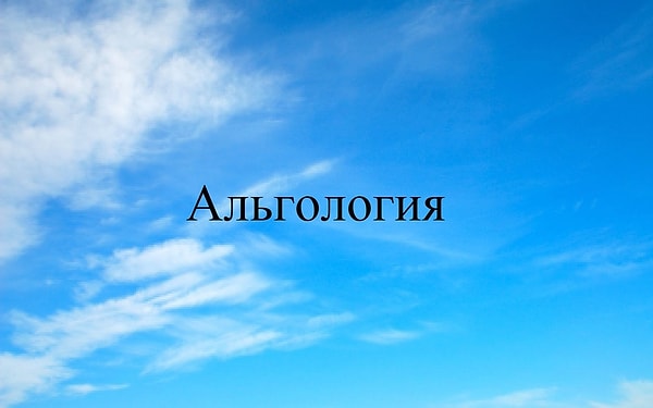 9. Еще одно редкое слово: