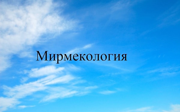 11. И, наконец, последний термин: