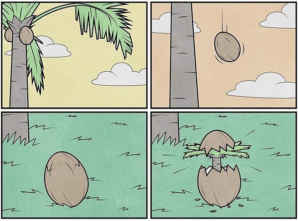 14. Как появляются пальмы