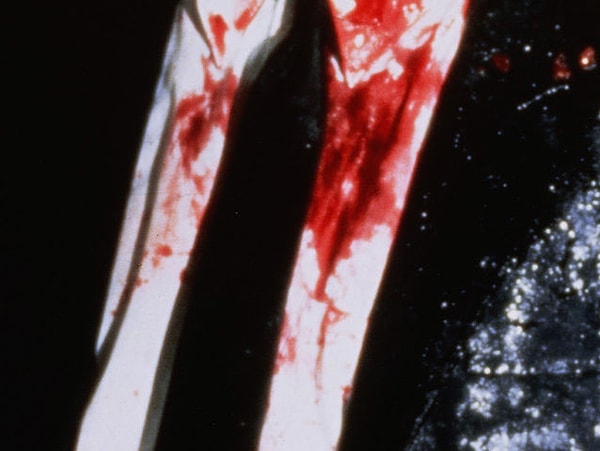 4. Что думаете?