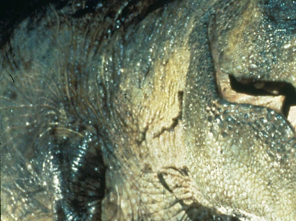 7. Продолжаем, тут часть кадра из фильма...