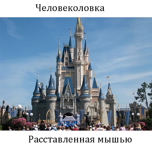 14. А ведь и вправду...