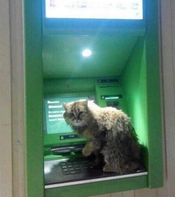 3. "О, человек, копейки на молоко не найдется?"