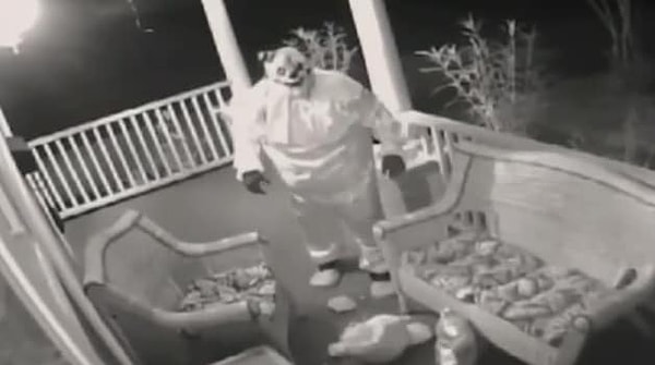 12. Цирк, да и только!