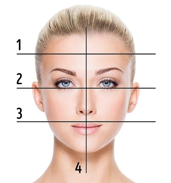 Yüzleri şekline göre ayıracak olursak 6 çeşit yüz tipinden bahsetmek mümkün. Dikdörtgen, oval, kalp, kare, yuvarlak ve baklava.